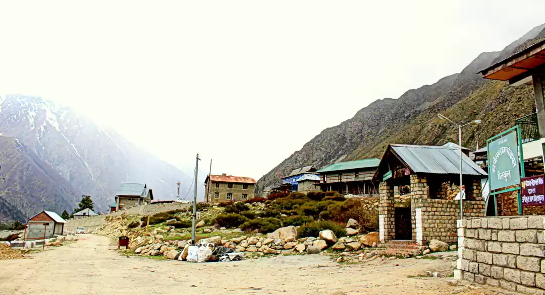 Photo of 8 Reasons Why You Ne