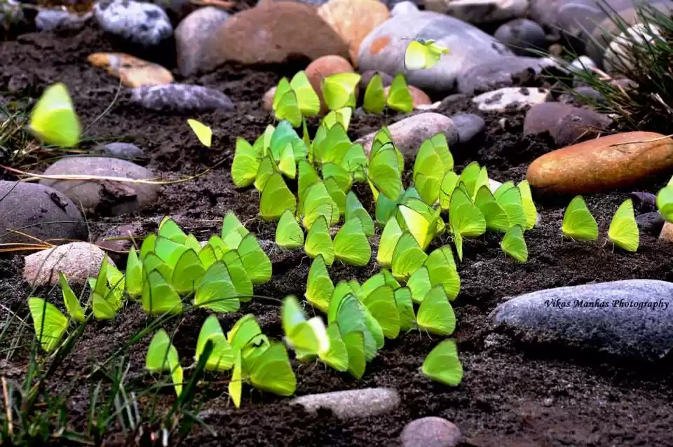 Photo of What travelling did 