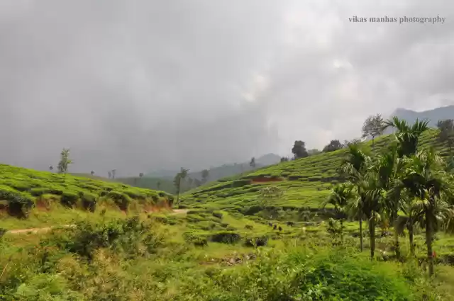 Photo of Wayanad- The Land of