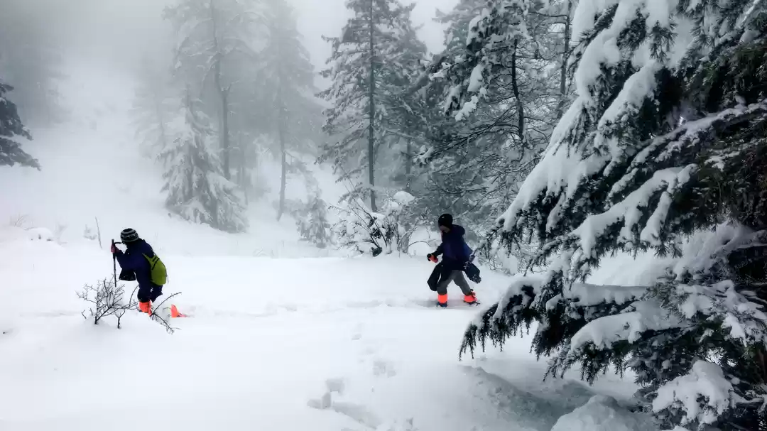 Photo of 5 Reasons why Giri K