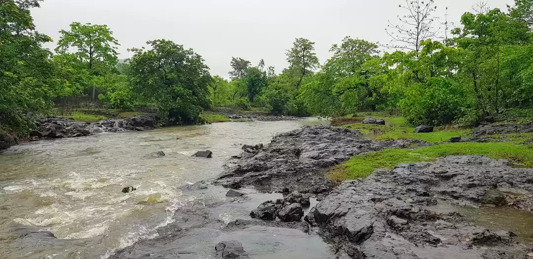 Photo of Relax and Unwind at 