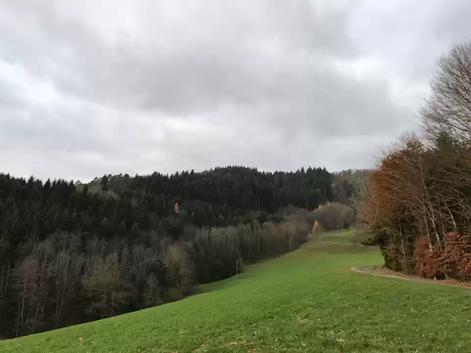 Photo of Off Beat and Off Pat