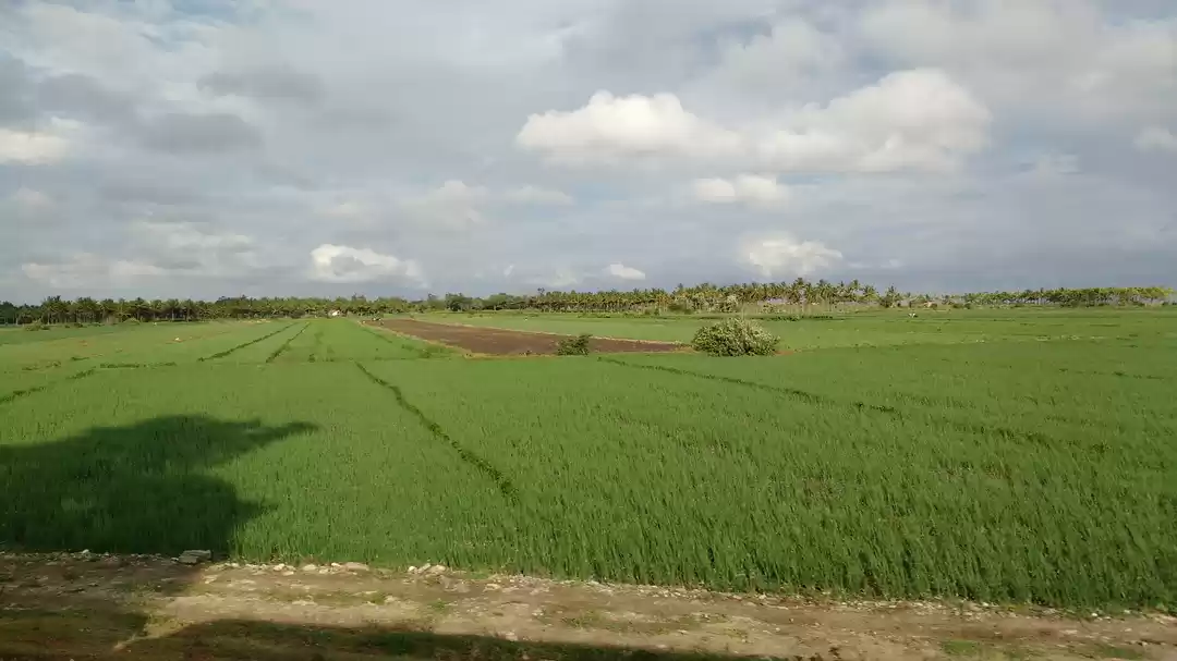 Photo of How I Took Manali An