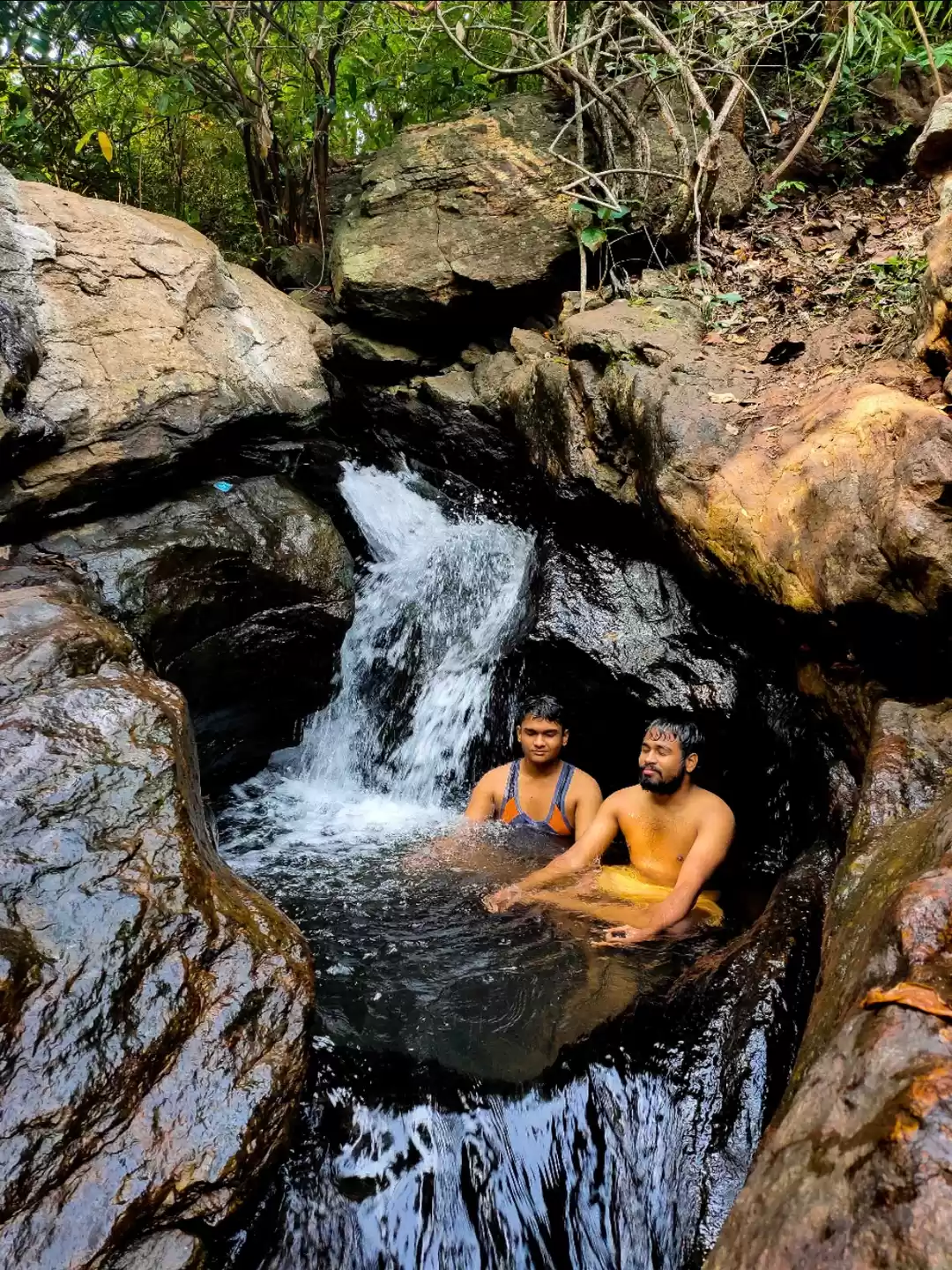 Photo of Nandinia- A Lost Par