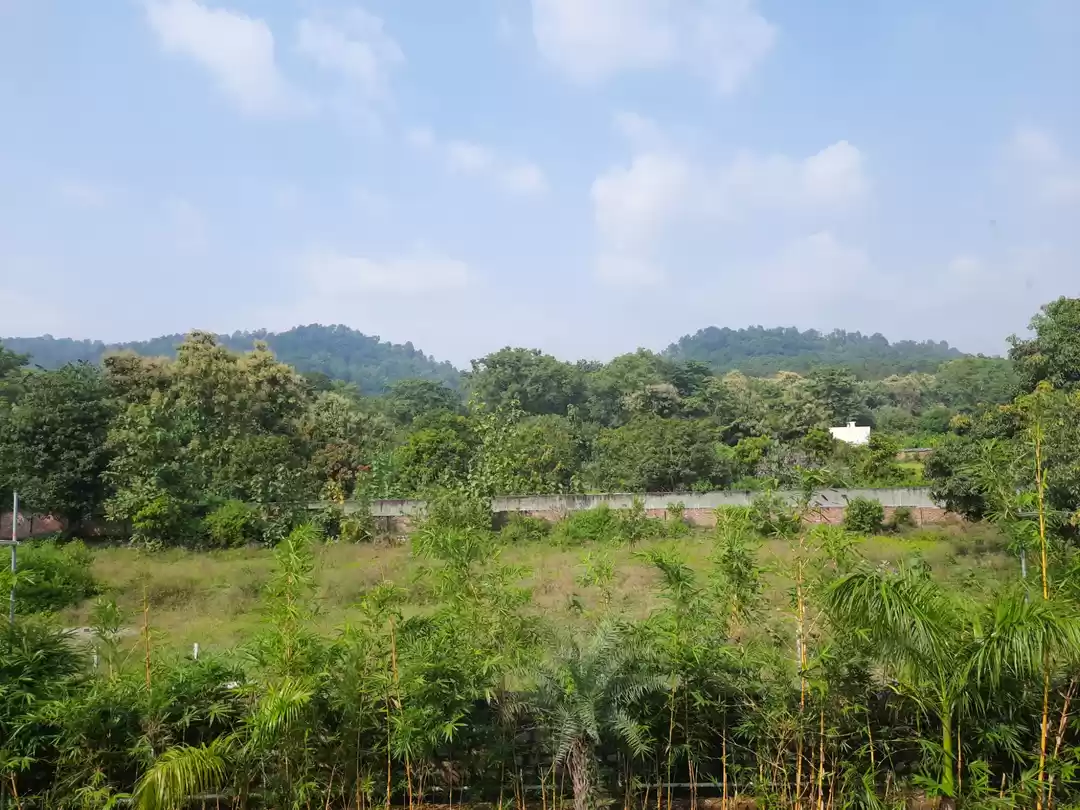 Photo of Right now it's Coron