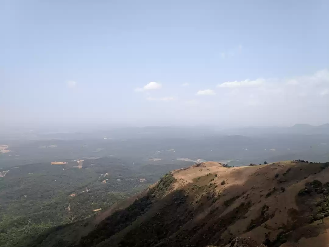 Photo of Summer Chikmagalur