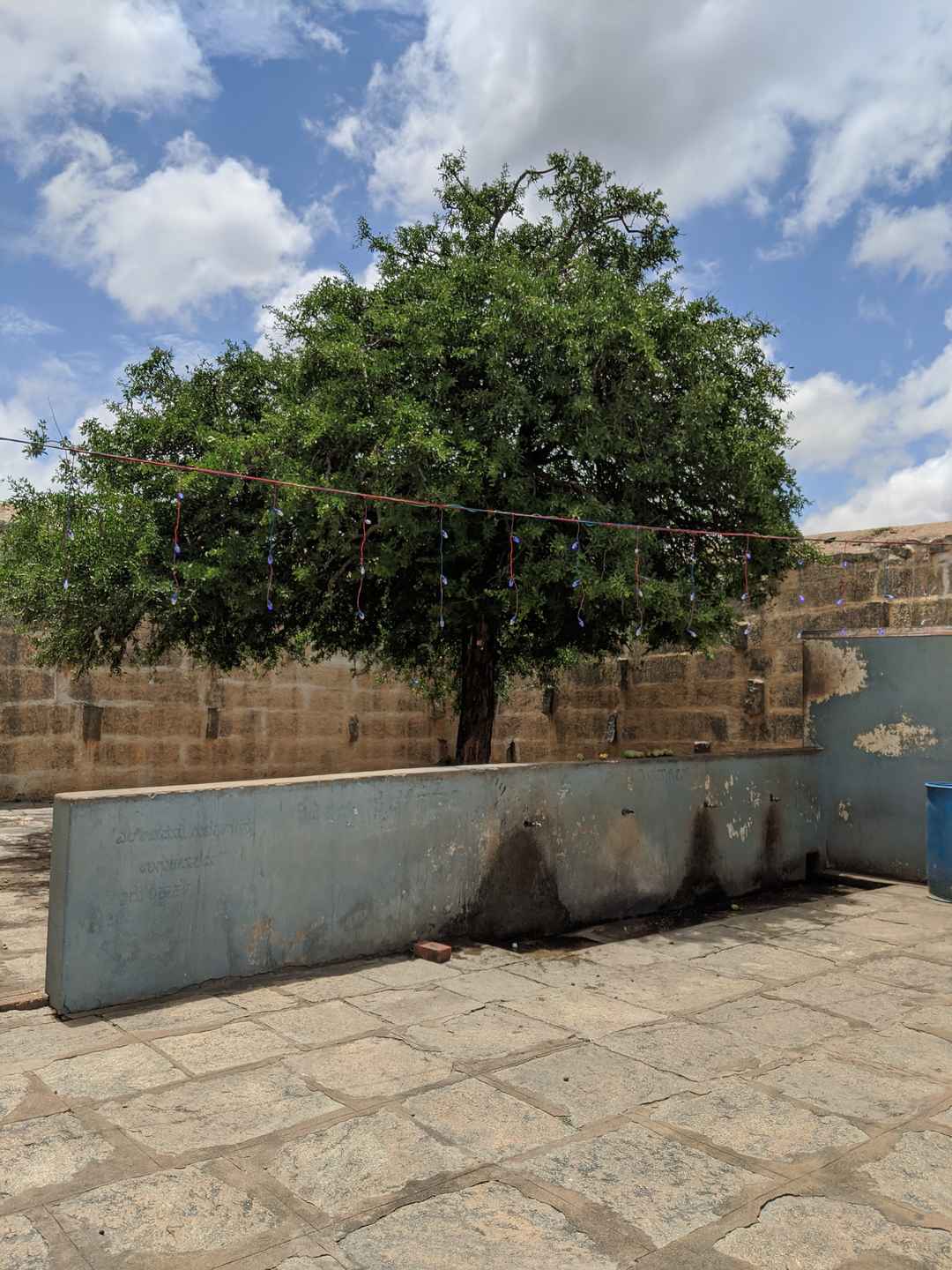 Markadeshwar Hill Vakkaleri Kolar Karnataka Tripoto It thrives in the steady waters mainly comprising of paddy rice fields, slow streams, and muddy waters. markadeshwar hill vakkaleri kolar
