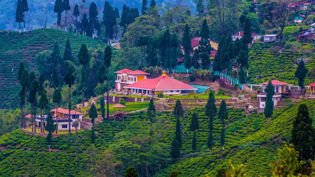 Photo of Darjeeling: Where Ev
