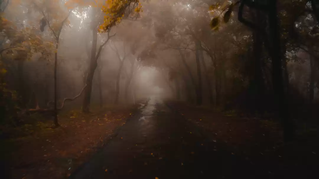 Photo of Pachmarhi - The divi
