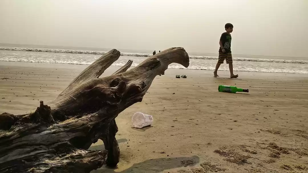 Photo of Beat the heat .....