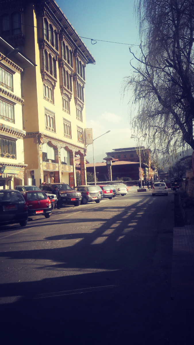 Photo of Intoxicating Solitud