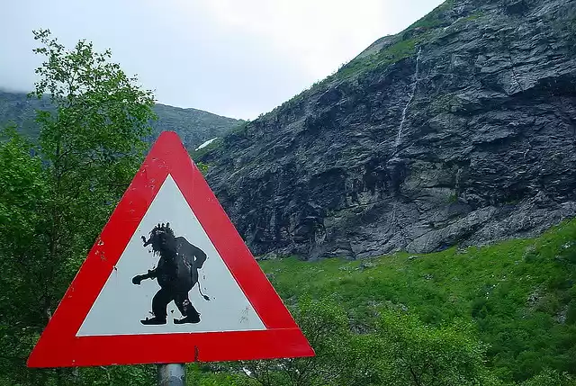 Photo of Troll hunting in Nor