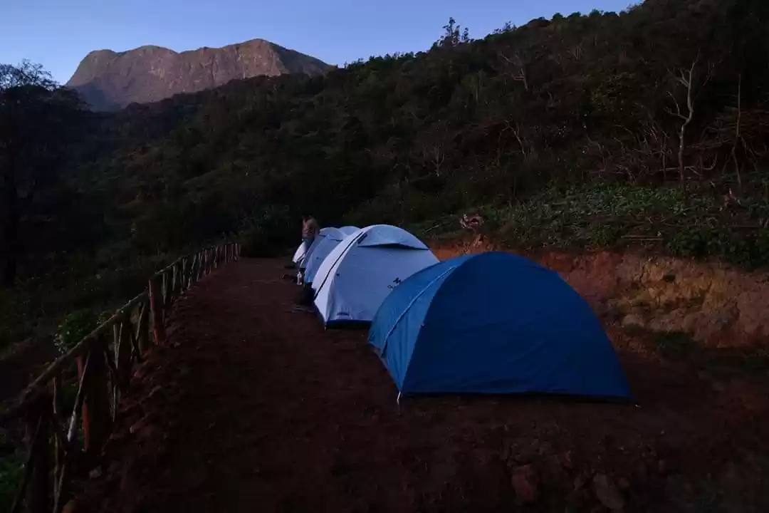 Photo of Magnificent Night sk