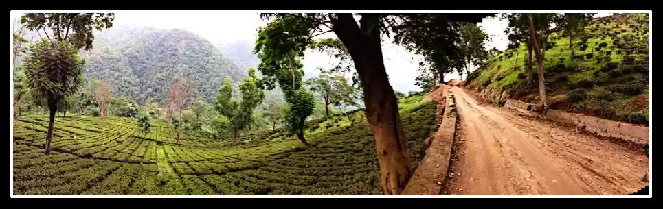 Photo of Exploring Namchi & G