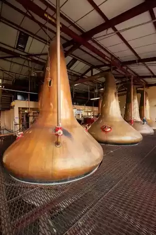 Photo of Scotch trail in the 