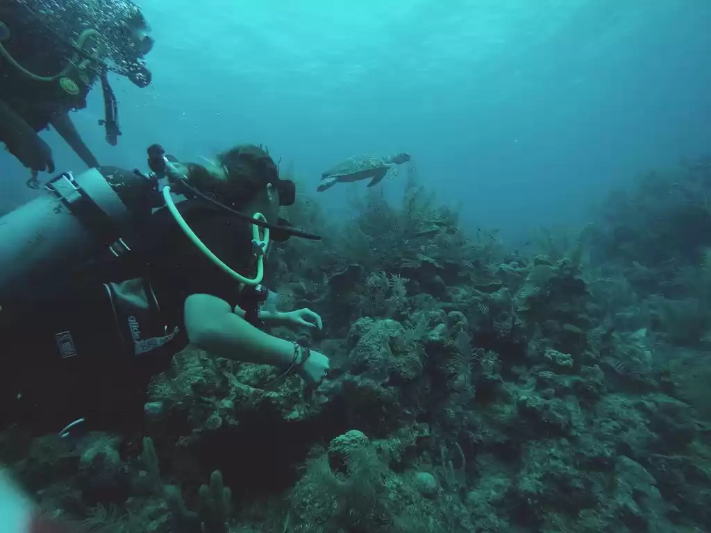 Photo of My Scuba Diving Esca