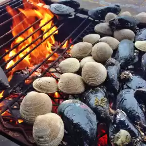 Photo of 72 Hours In The Chil