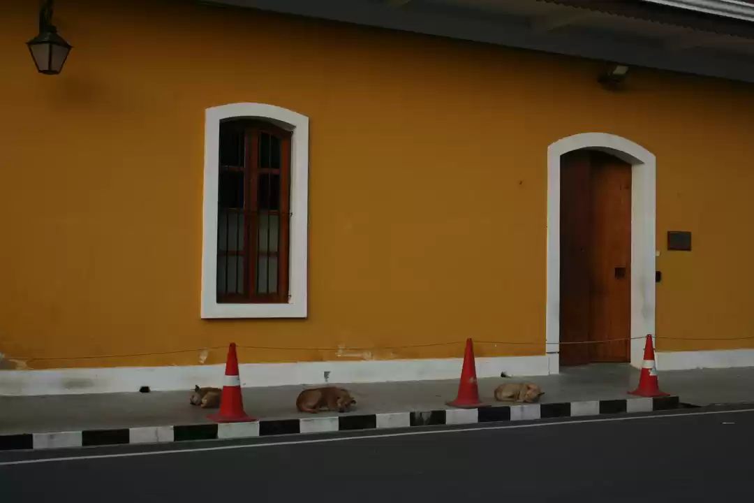 Photo of Pondicherry