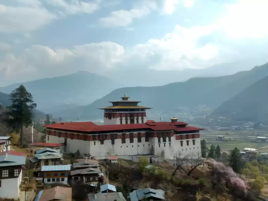 Photo of How we escaped from