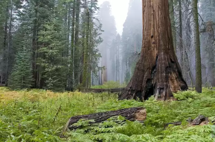 Photo of These 9 National Par