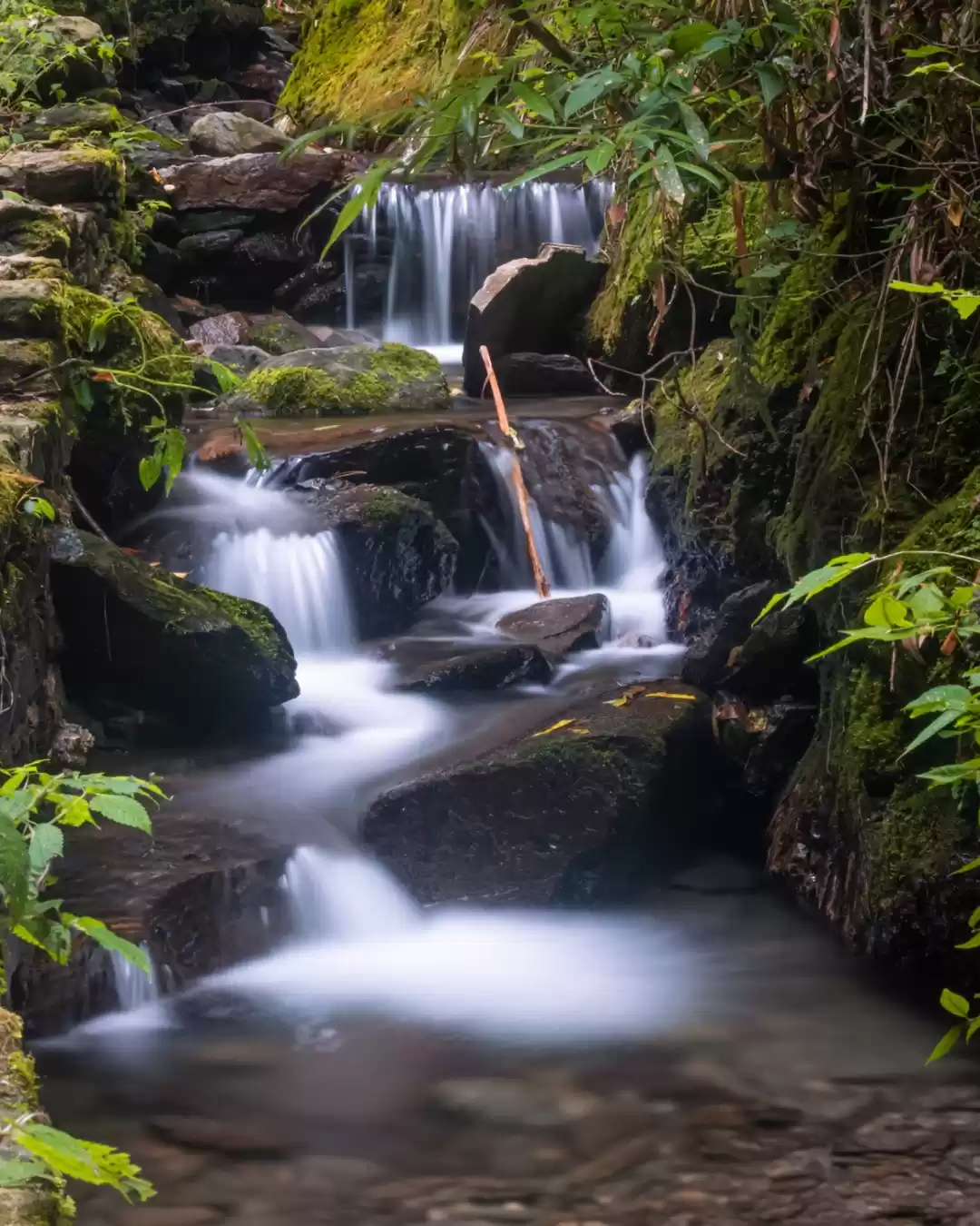 Photo of Jibhi Waterfall