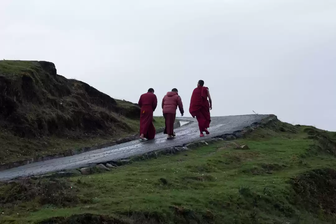 Photo of The one with the Sle