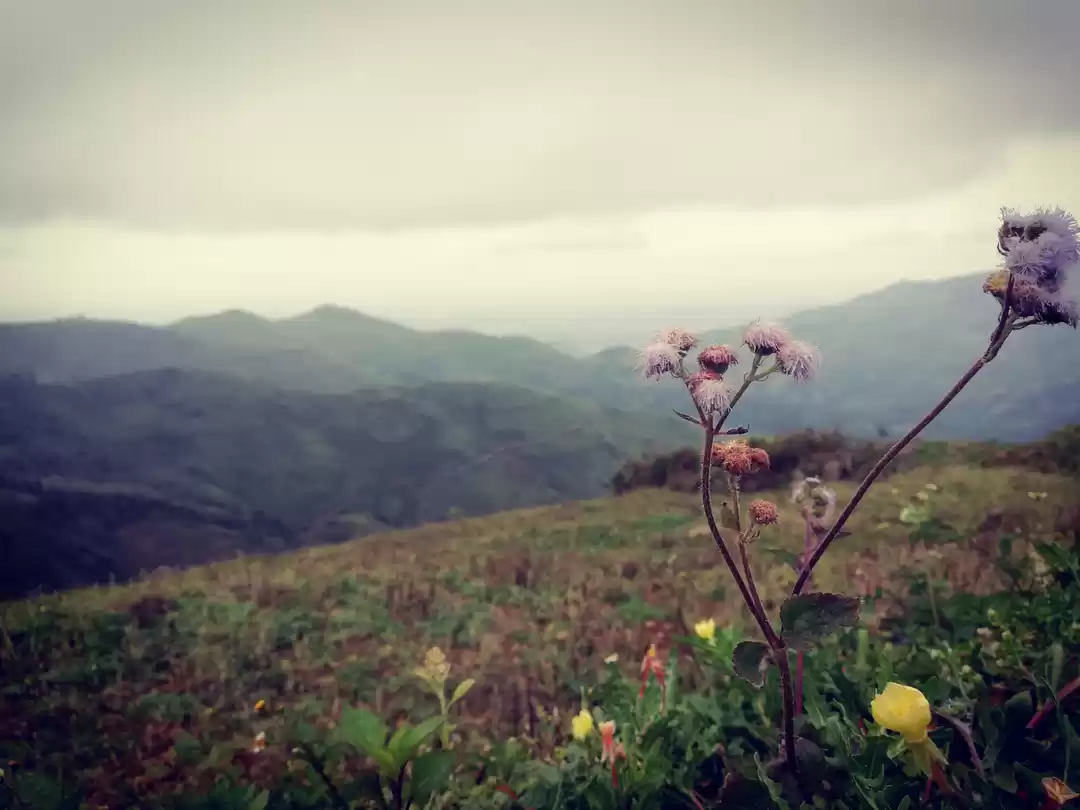 Photo of KODAI ON SOUL MOVERS