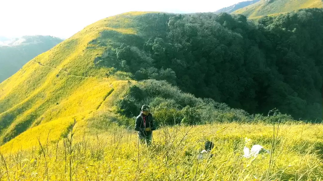 Photo of Dzukou Valley Trek, 