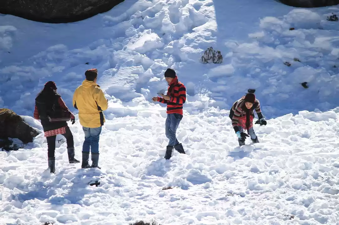 Photo of Silky Serene SIKKIM