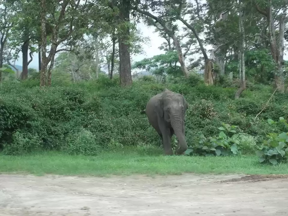 Photo of An Adventure of a Li