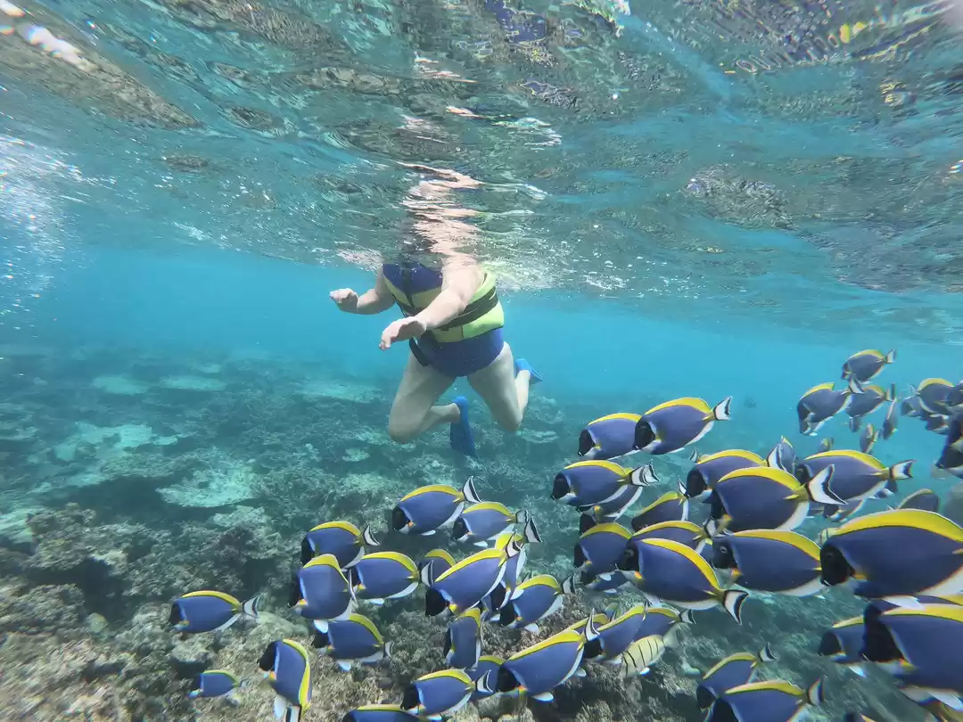 Photo of Honeymoon in Maldive