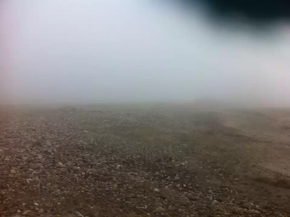 Photo of Wandering in the Wil