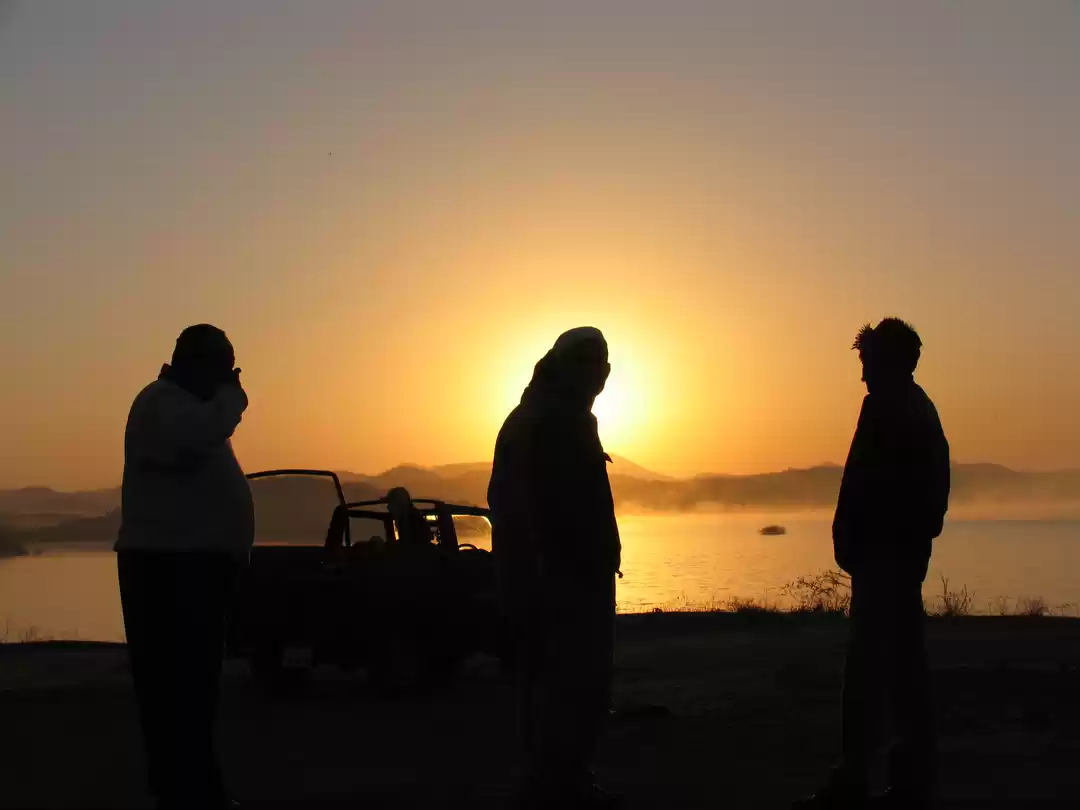 Photo of Wandering In The Wil