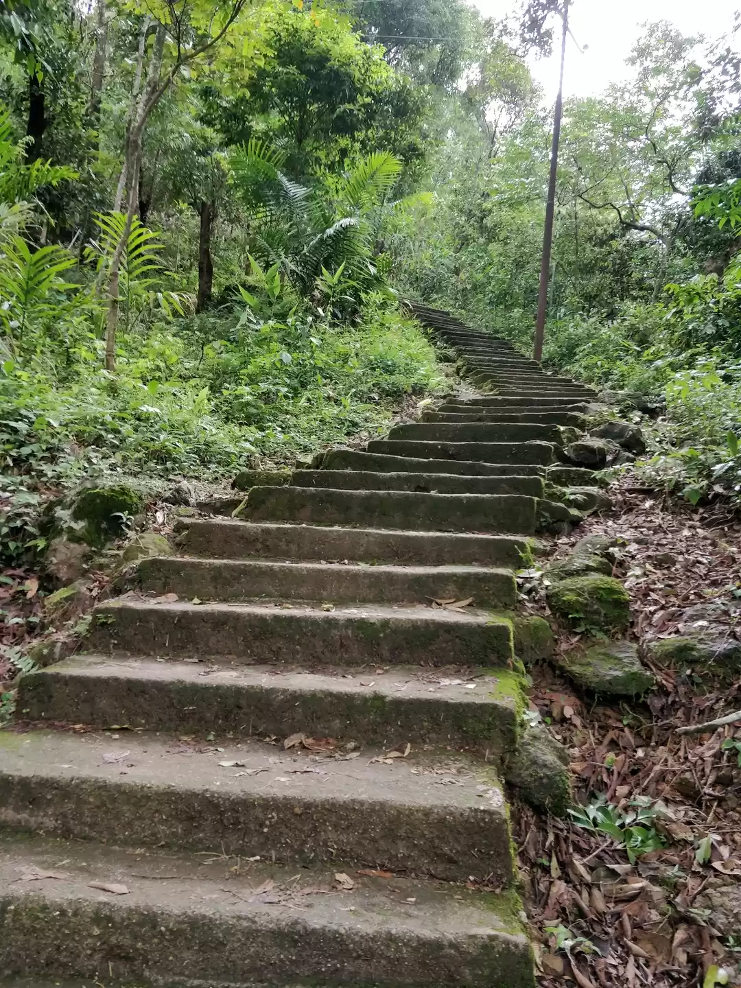 Photo of Trek to the Living R