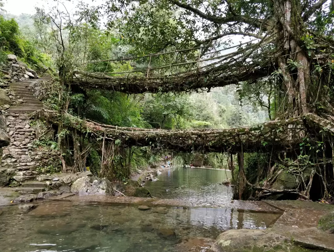 Photo of Nongriat Trek - A On