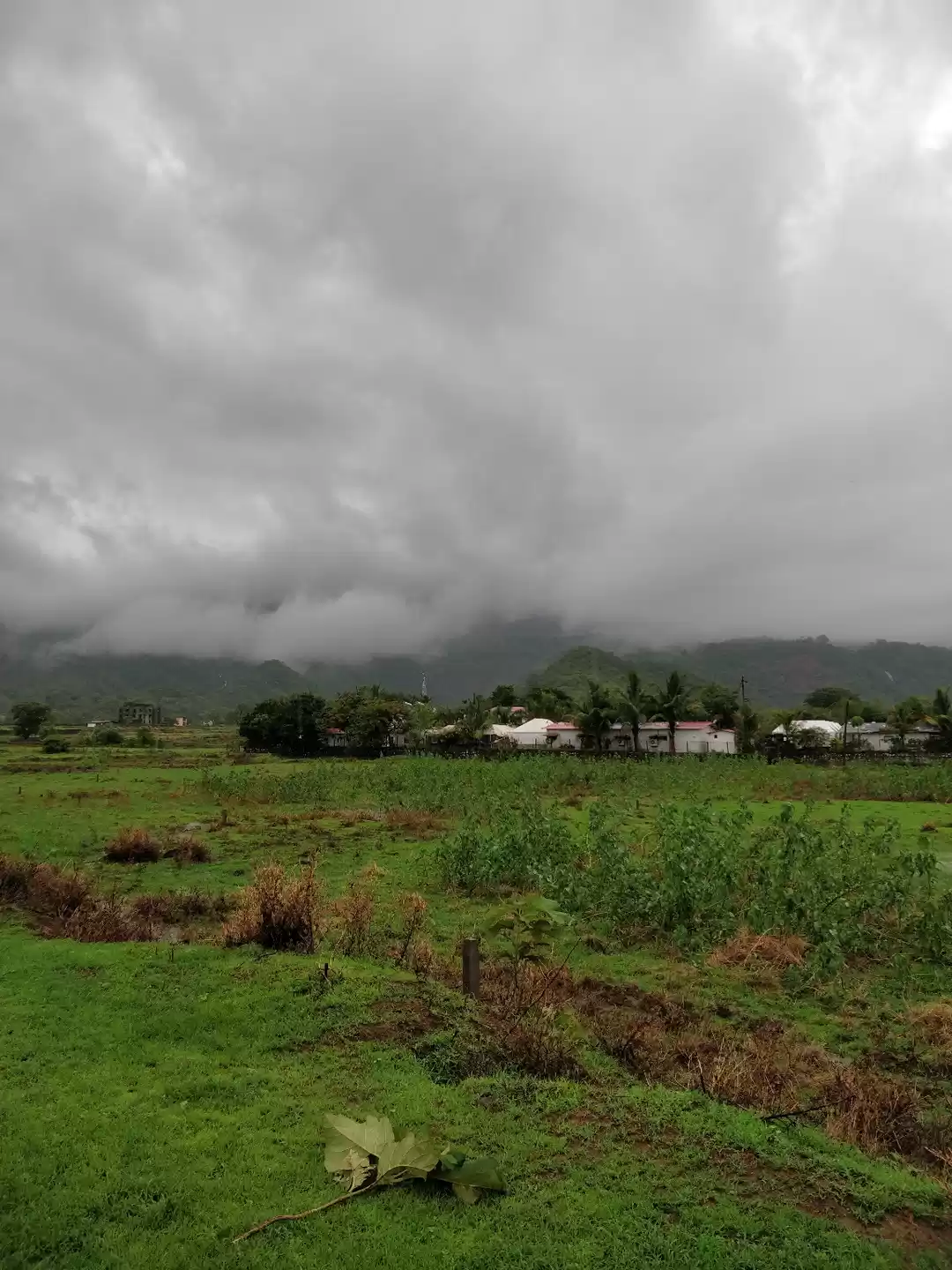 Photo of Neral - A monsoon g