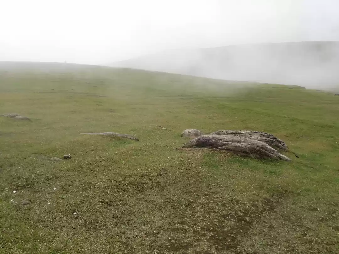 Photo of These Lesser Explore