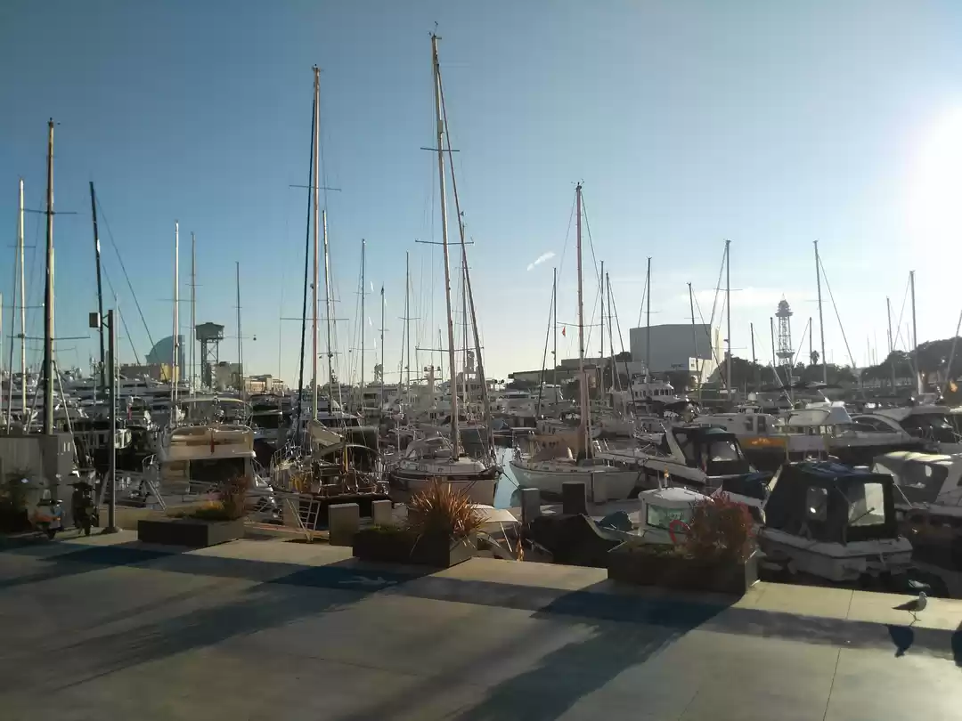 Photo of Top 5 Things to Do i