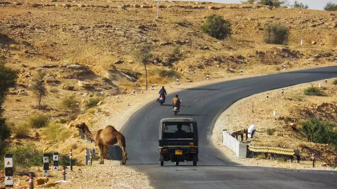 Photo of Talk of the Town : J