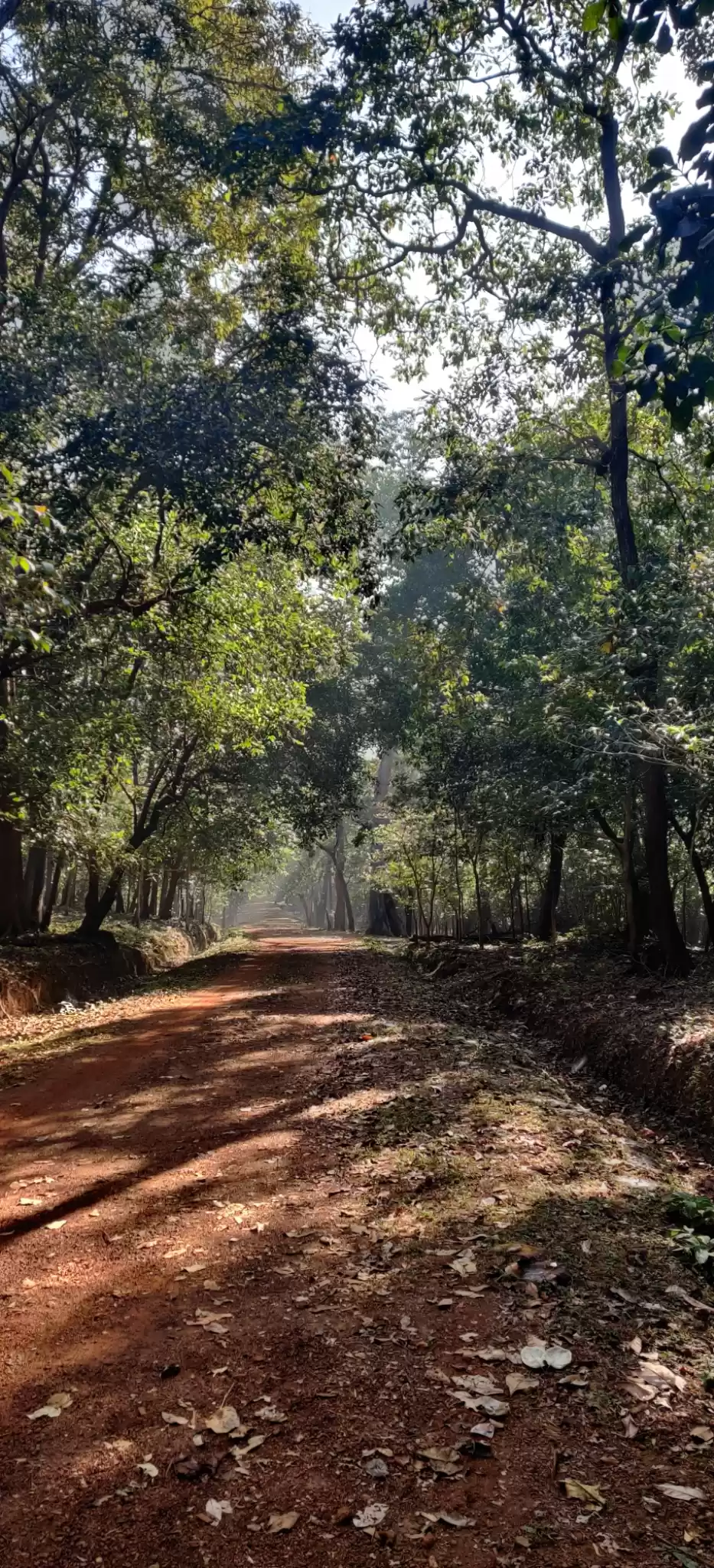 Photo of Amazing Wildlife Des