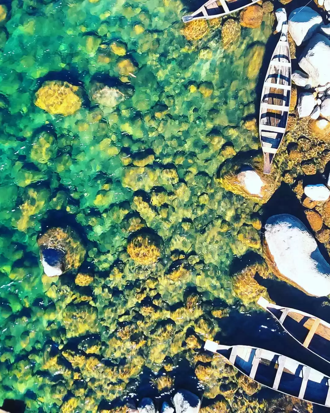 Photo of 10 Offbeat Riverside