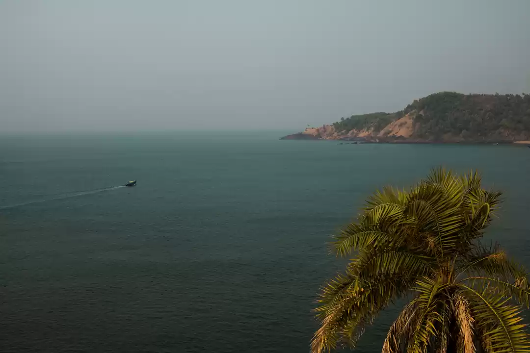 Photo of If you are not booki