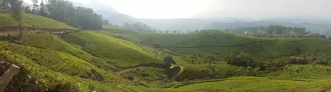 Photo of Tales from Munnar #2