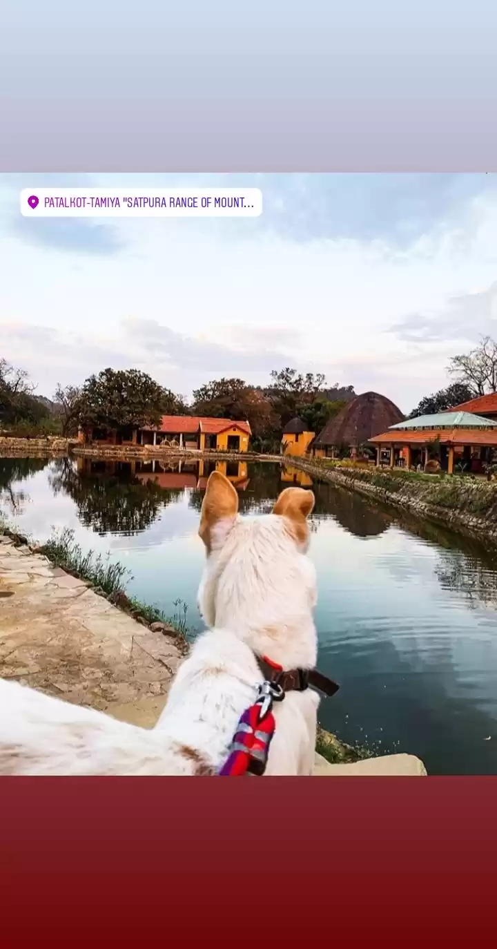 Photo of Weekend gateway MP -