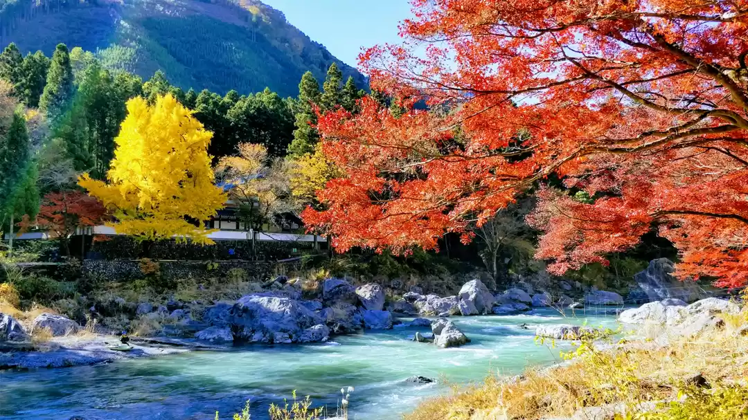 Photo of Photo Blog..Autumn o