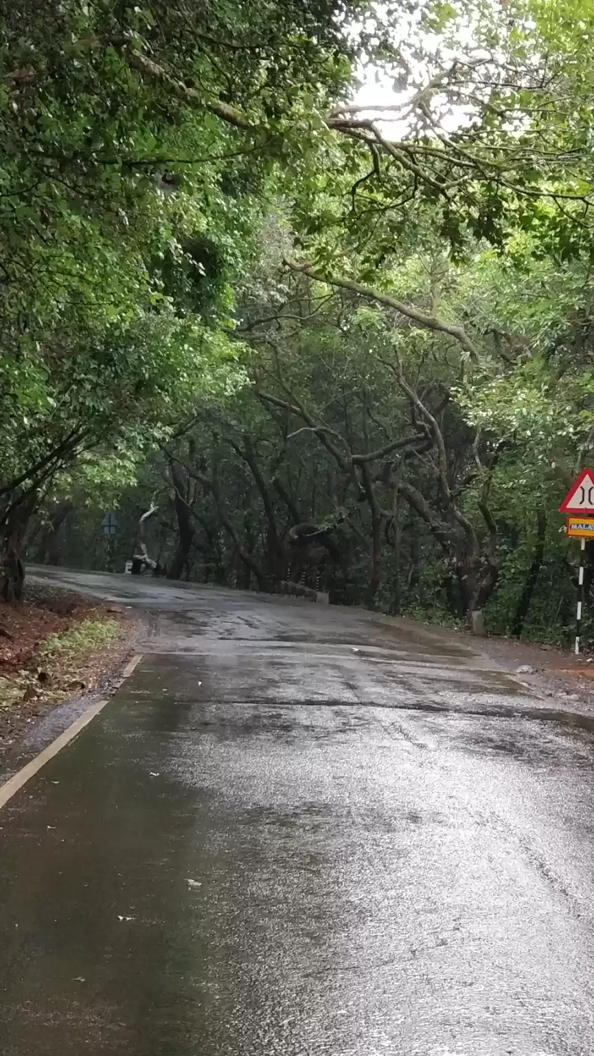 Photo of Trip to Mahabaleshwa