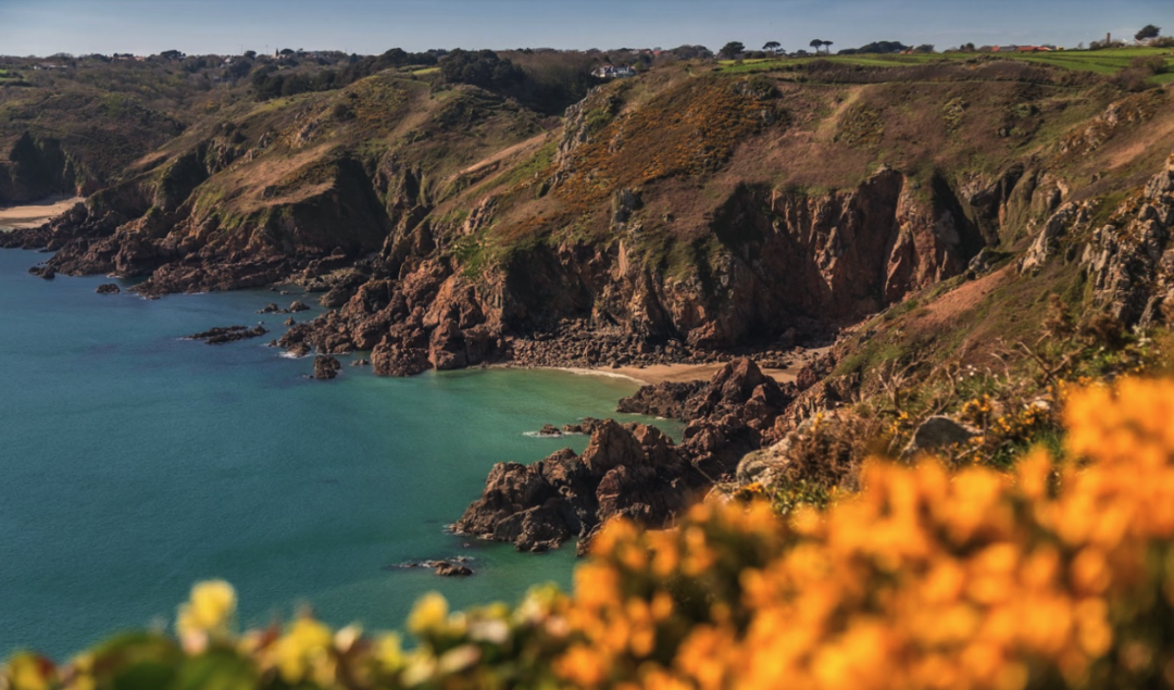 Photo of Here's Why Guernsey