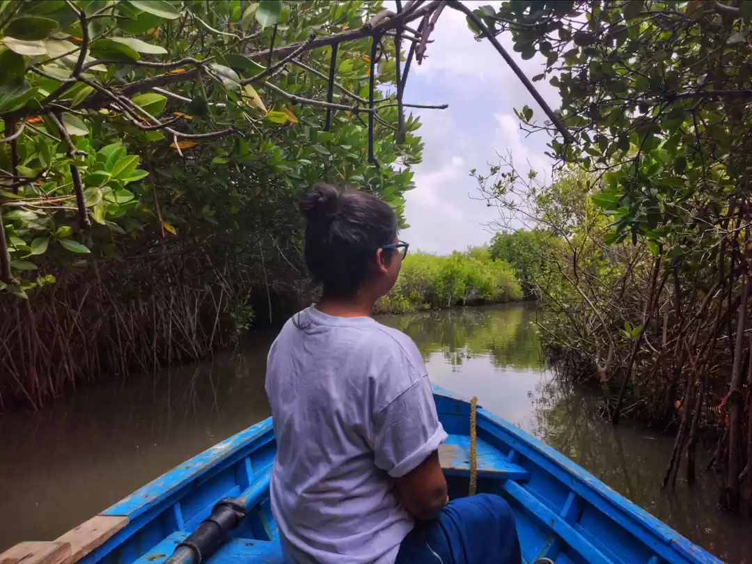 Photo of Pondicherry to Picha