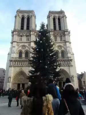 Photo of A dreamland of its o