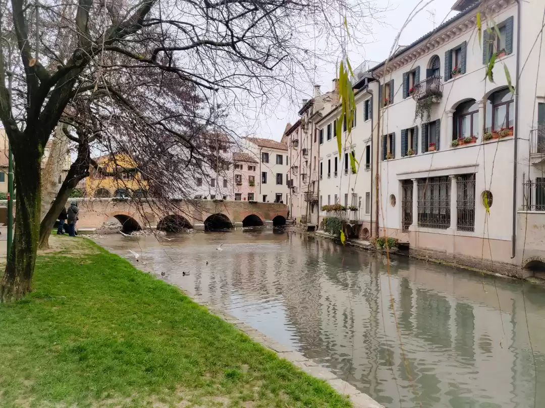 Photo of Treviso - the canal 